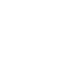 Worldmap Icon